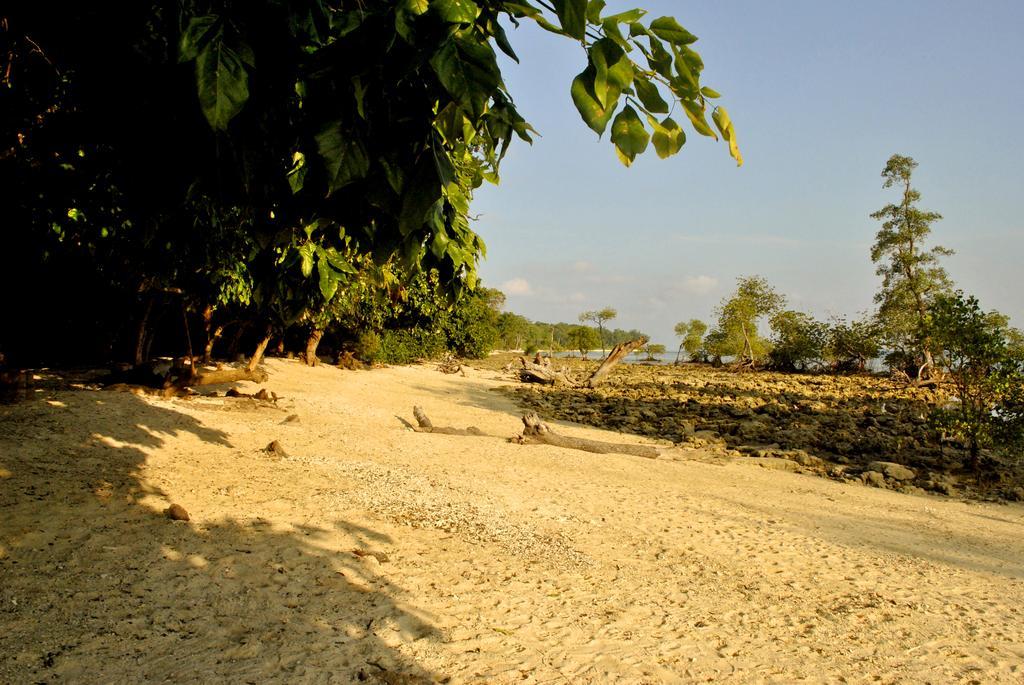 Sea Shell Neil Hotel Lakshmanpur Kültér fotó