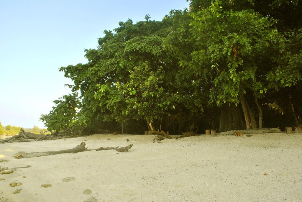 Sea Shell Neil Hotel Lakshmanpur Kültér fotó